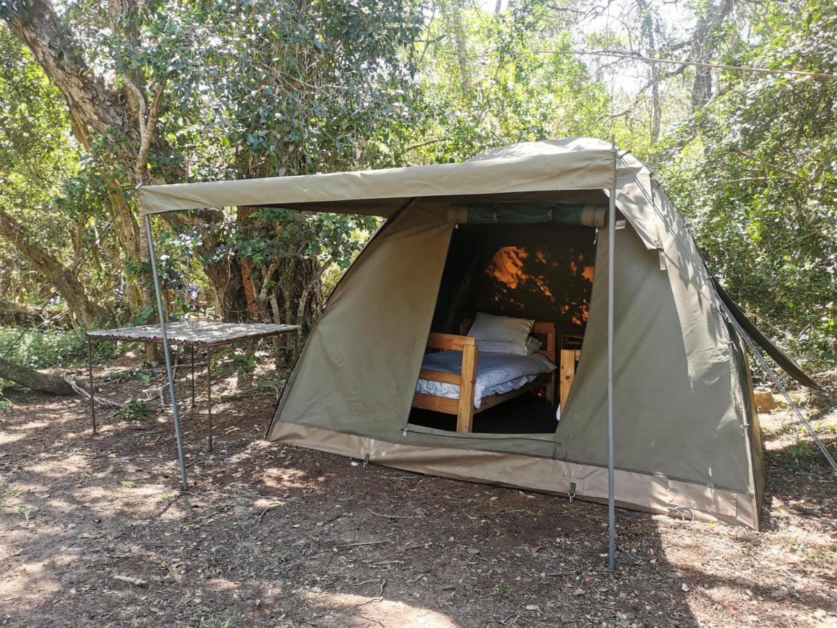 Fairy Knowe Backpackers Lodge وايلدرنيس المظهر الخارجي الصورة