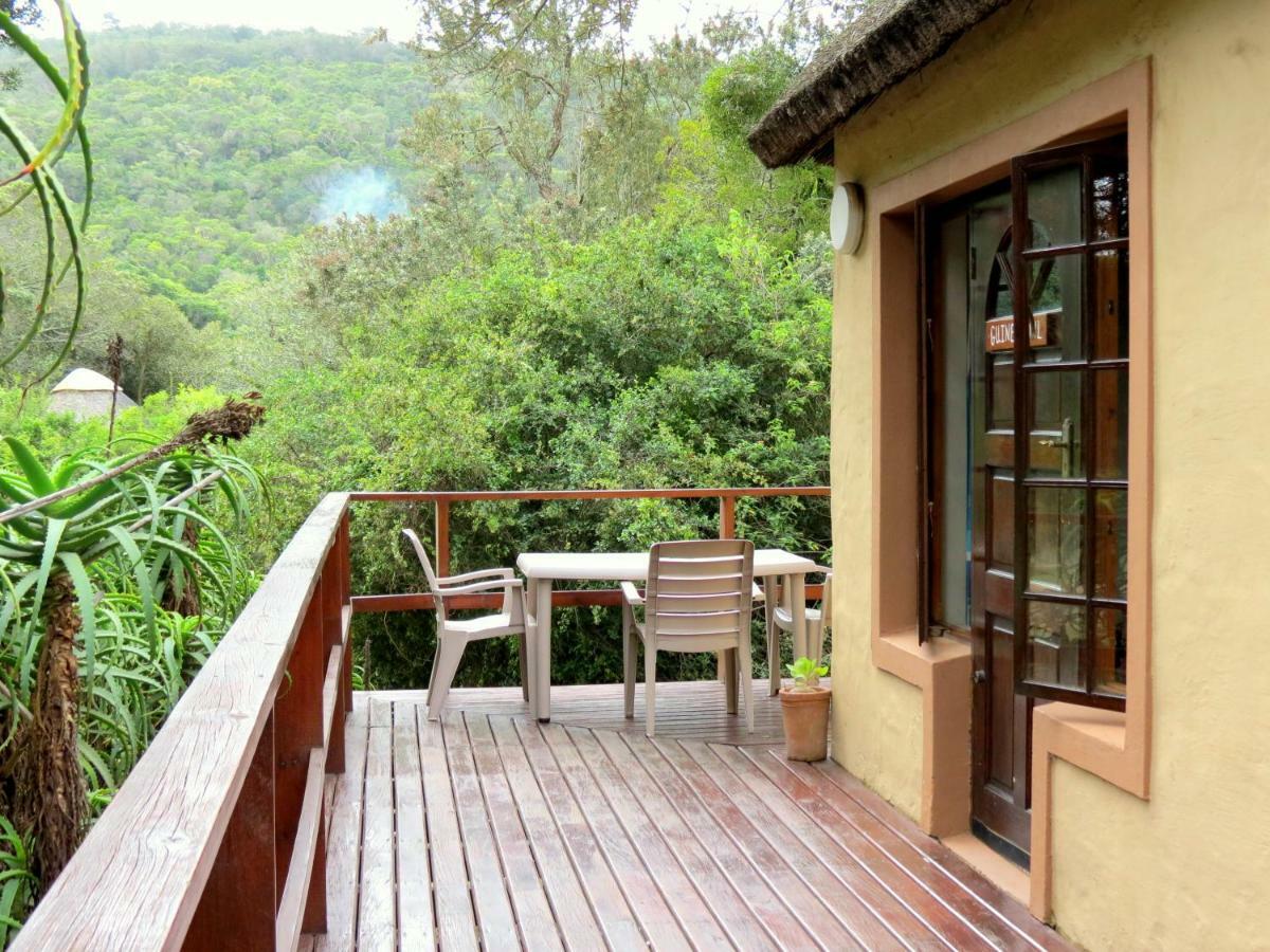 Fairy Knowe Backpackers Lodge وايلدرنيس المظهر الخارجي الصورة